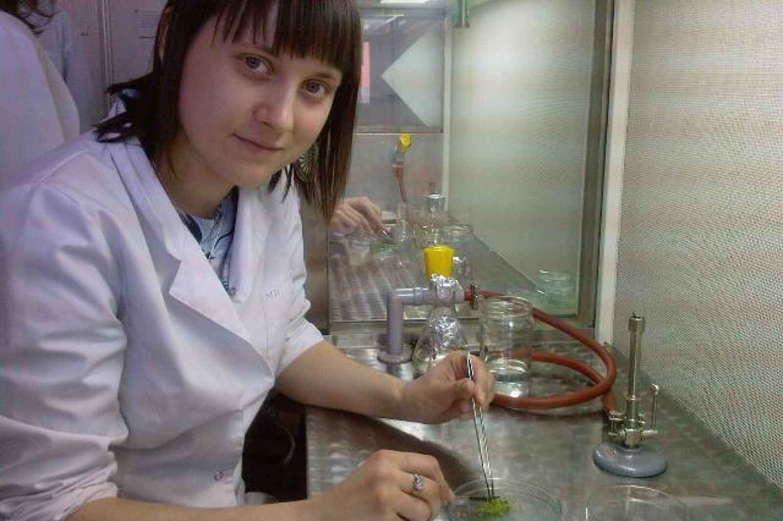 Pierzyna magda iskierka Iskierka