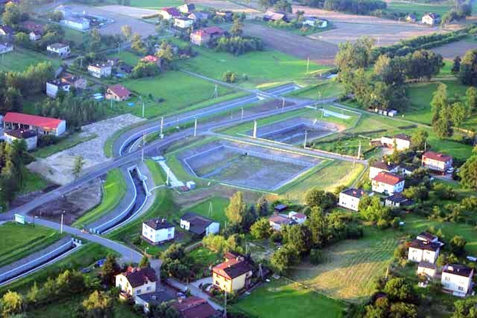 Pszczynka borynia ARC