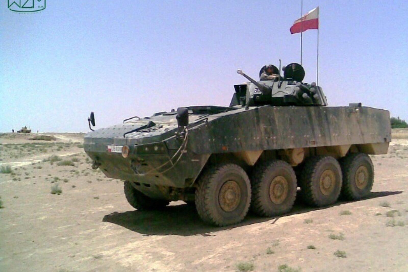 Rosomak wzm
