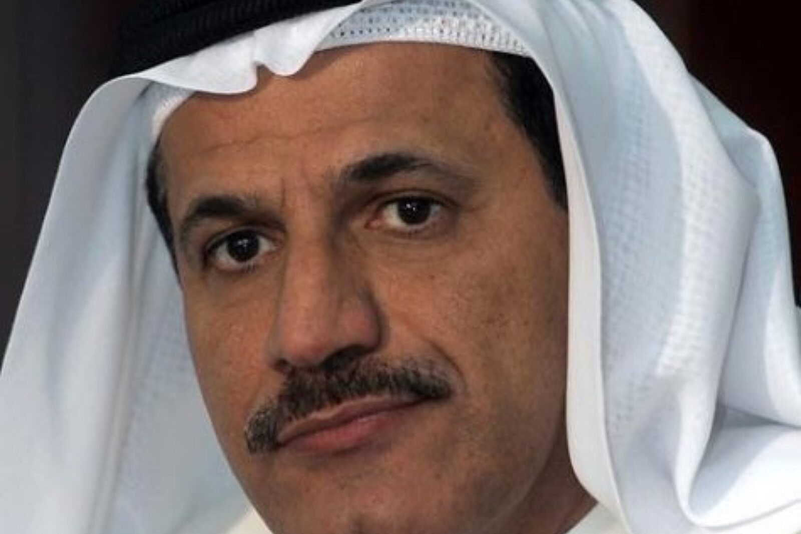 Sultan bin saeed al mansouri gulfnews com