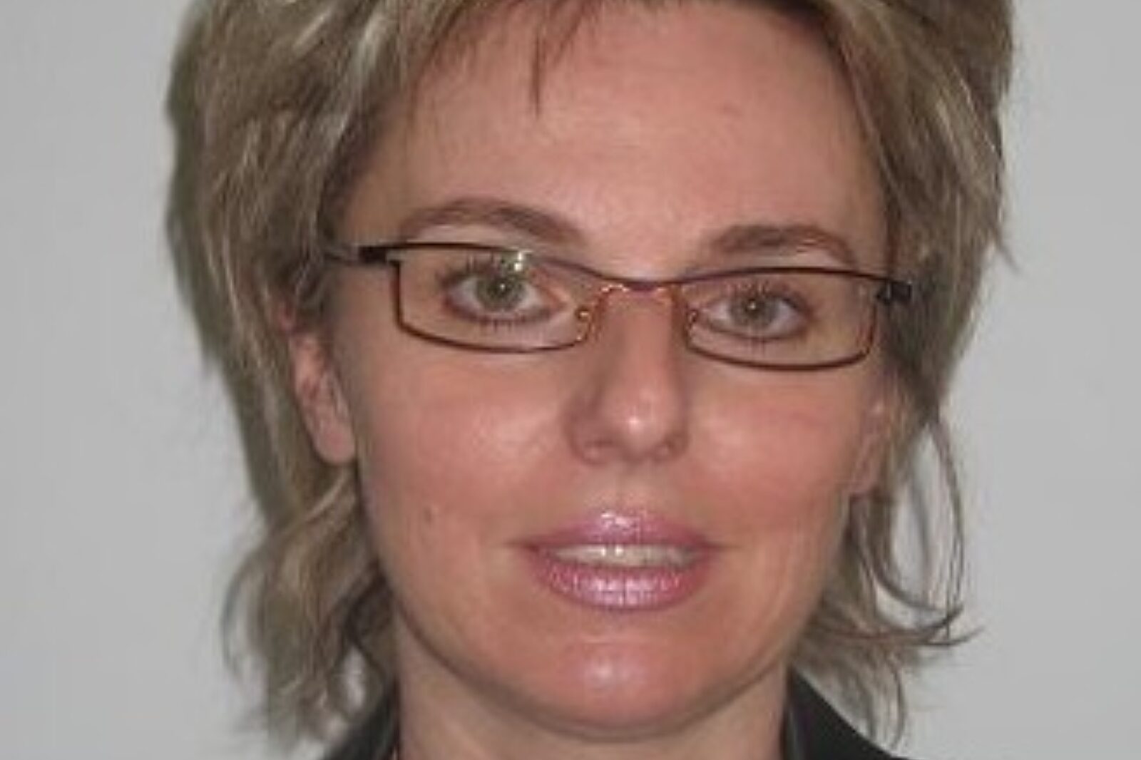 Szmid msp gov pl