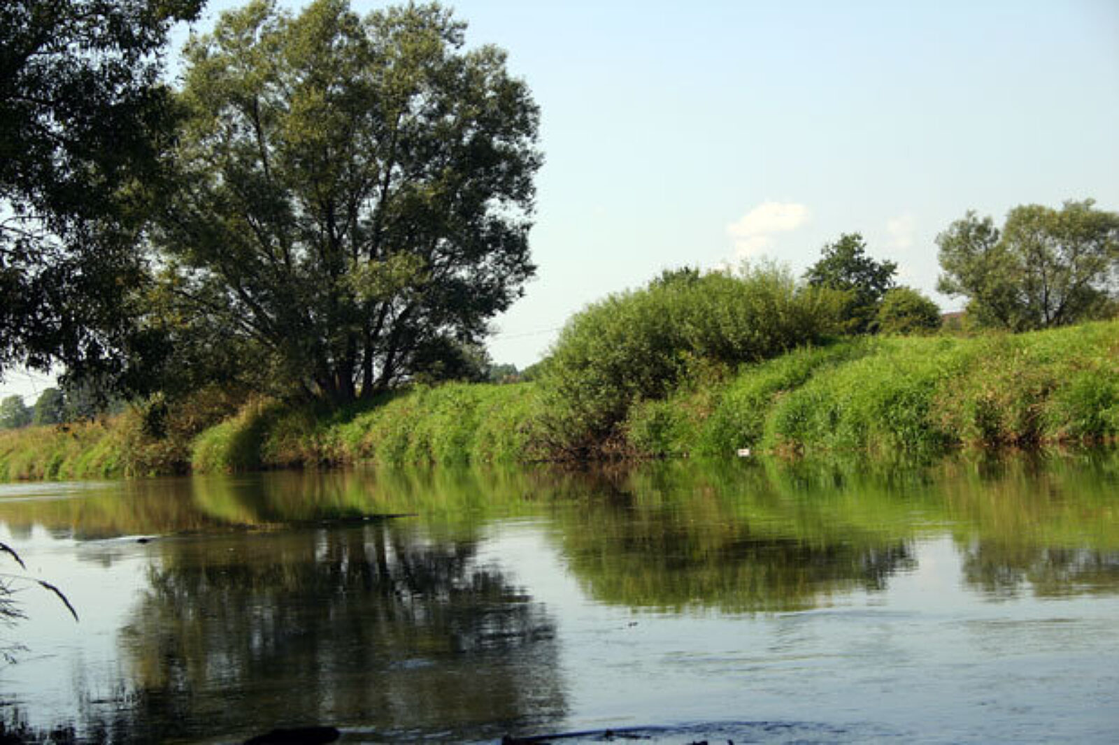 Wisla KK