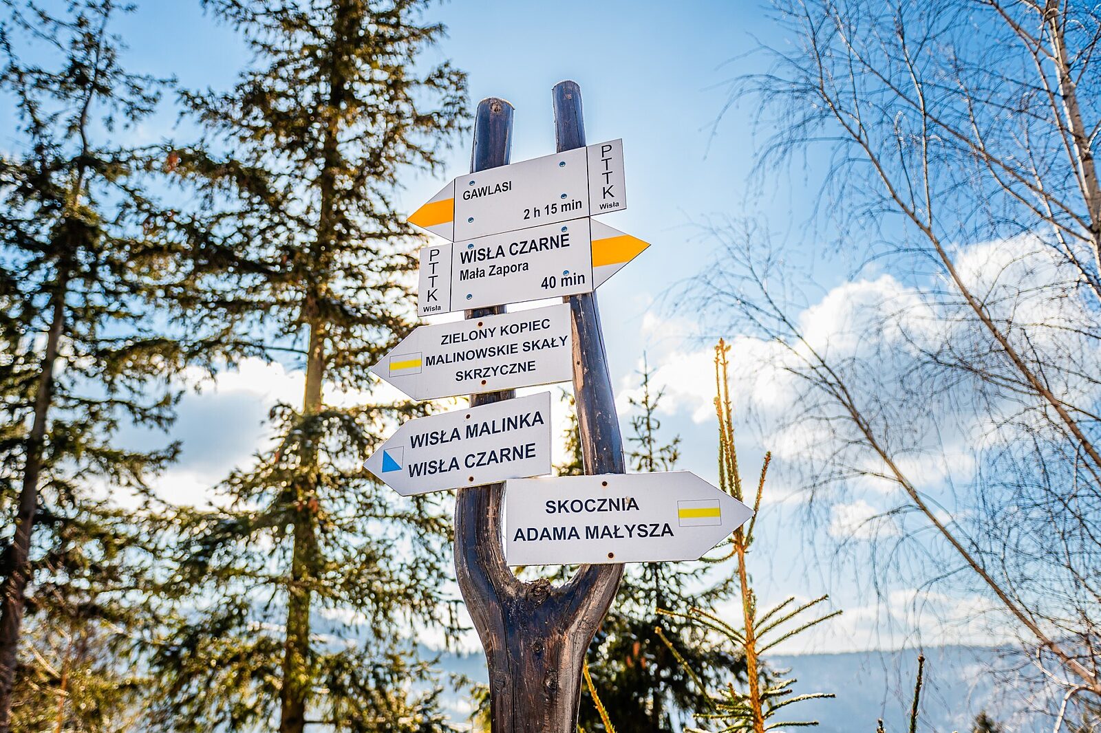 Wisla cienkow 02 2025 r kazmierczak 2140