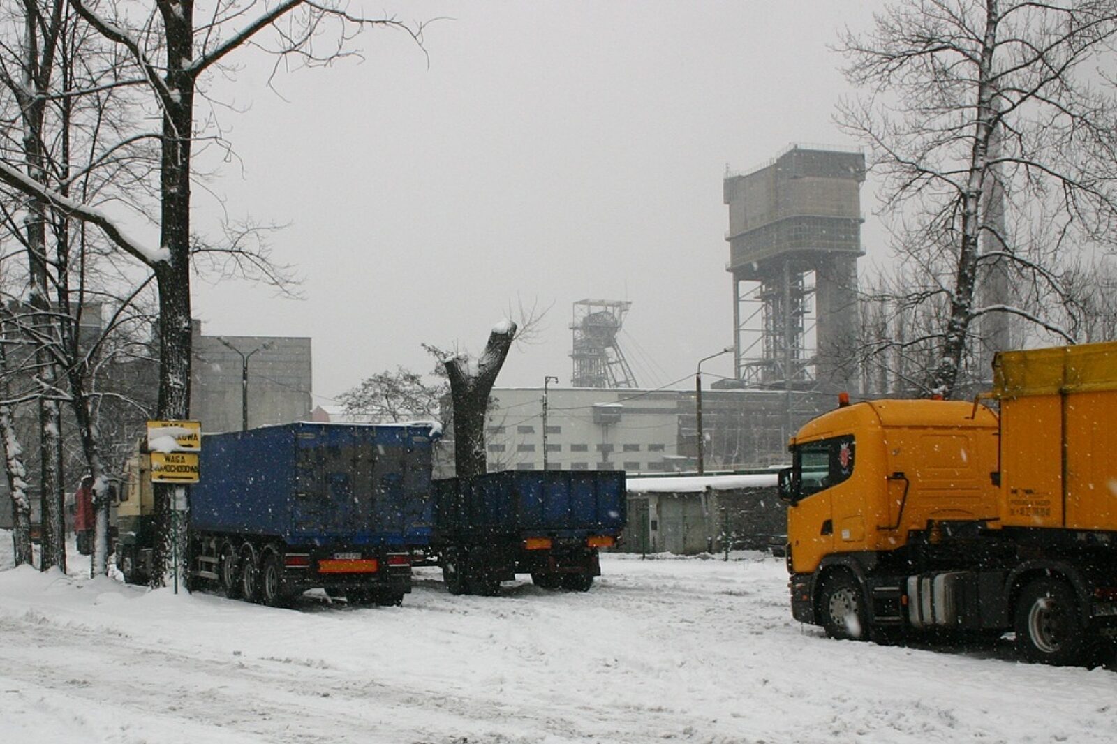Wujek zima ARC
