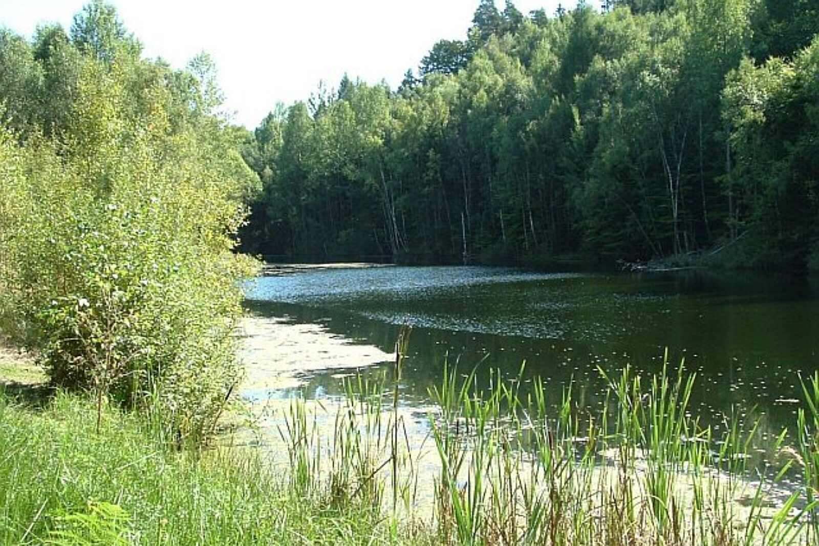 Zbiornik nazwa sieniawa KWB Sieniawa