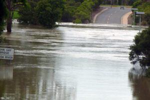 1328621635 australia powo dz emerald wt