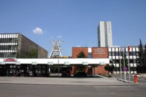 1331378179 pniowek 113