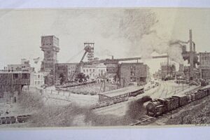 1354253508 zebrok kop acs