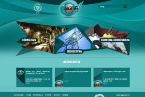 1359360634 screen strony 800x600 kopia