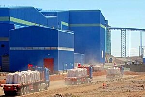 1373620574 oyutolgoi1 ot mn