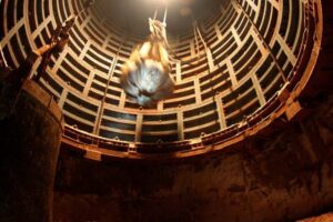 1374122401 sw4 pebeka