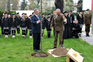 1403613412 dab wolnosci wadowice lasy gov pl
