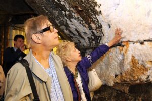 1408611584 michael york wieliczka r stachurski