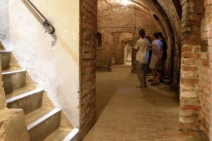 1477731988 jaroslaw piwnice tr