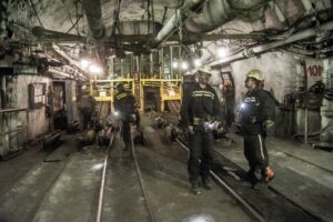 1483777183 01 starzicarcokd k4