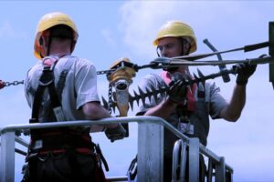 1503316731 awaria tauron