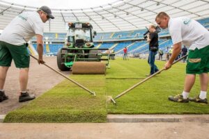 1504511066 stadion murawa slaskie pl