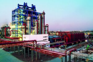 1522155289 cornerstone dggas1jpgscalelarge