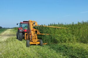 1525442179 konopie kwbkonin k kolodziej lifeekohempkon