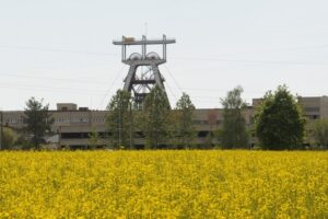 1528961914 01 budrykarcgal k4