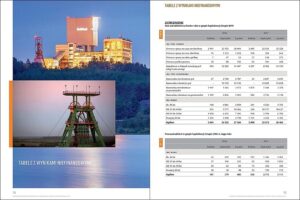 1534756553 raport jsw