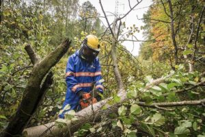 1537781106 energetycy awaria tauron