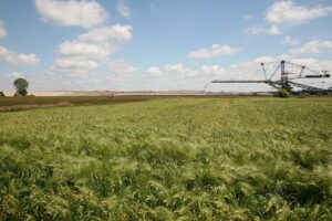 1548329142 zwlowarka tomislawice kwb konin