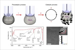 1551882557 lmce rmit