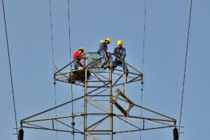 1552499291 platformy rybolowy enea