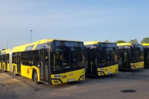 1558001099 59869779 334161120632248 4729771393997078528 n