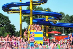 1561555042 buglaspotted