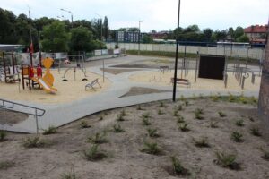 1563803792 podworkowirek11