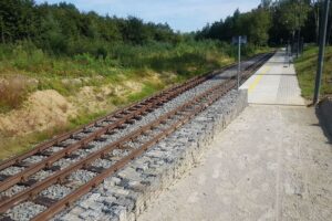 1568038126 csm sciezka pniowiec fotlkarbowinski 10 e83f027c1e