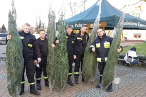 1574684314 darzadarchoinki