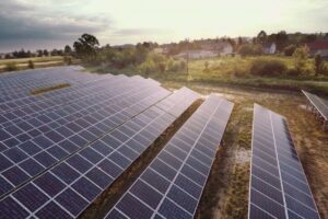 1576245212 czernikowo 14