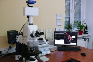 1596024180 mikroskop ichpw