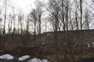 1608552566 halda srk