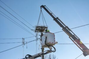 1610017162 gniazdo tauron dyst 1