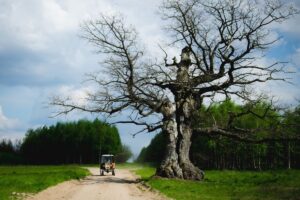 1625148143 dab dunin klub gaja