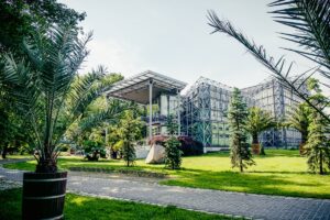 1628764538 palmiarnia