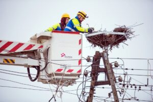 1643364308 bocianie gniazdo tauron