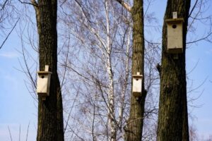 1648118588 budki legowe