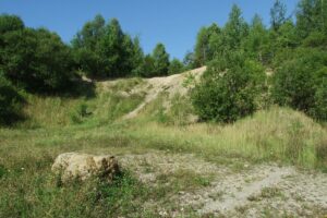 1648202888 gorachelm