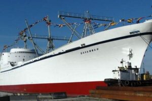 1649320224 ns savannah