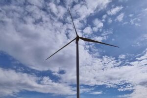 1653907415 farma majewo tauron