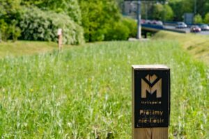 1654690500 laki fb 6 of 1