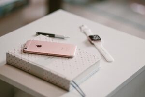 1666080786 apple