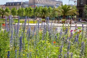 1673617431 laka katowice