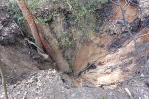 1682326814 zapadlisko psp chrzanow