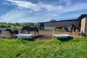 1684498391 kwbturow fundacja